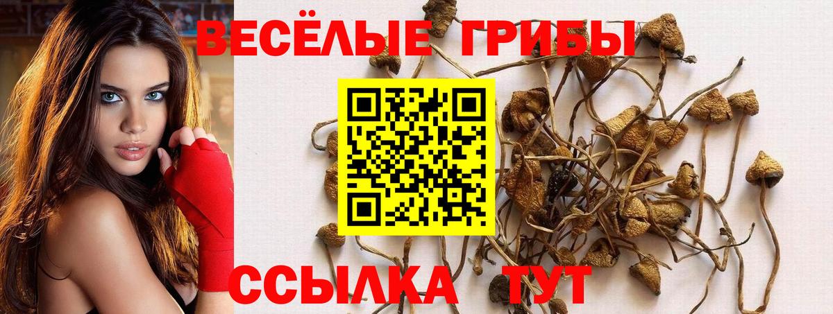 Псилоцибиновые грибы ЛСД  Псилоцибиновые грибы Psilocybe  Вход с VPN  Видное 