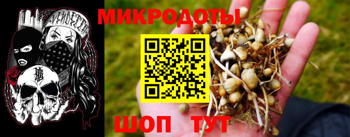 Псилоцибиновые грибы Cubensis Видное
